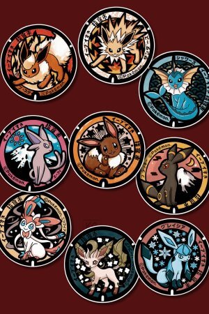 Lot des 9 plaque Evolution - Sticker